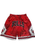 Chicago Bulls